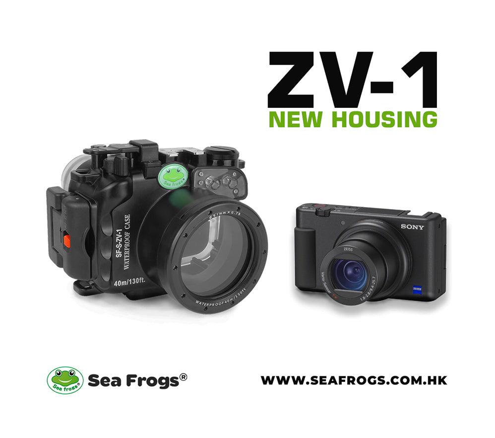 NEW RELEASE! Sony ZV-1 Underwater camera housing – seafrogs