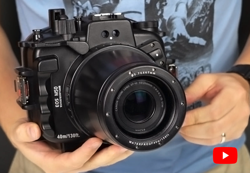 Canon-EOS-M50-Kiss-M-flat-long
