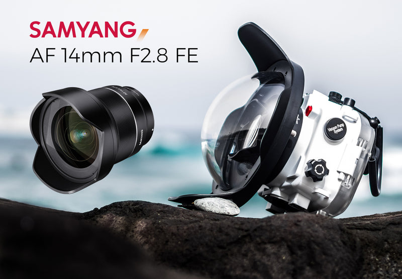 Samyang 14mm f2.8 FE with Sea Frogs Water Housing for Sony A7RIII and 8