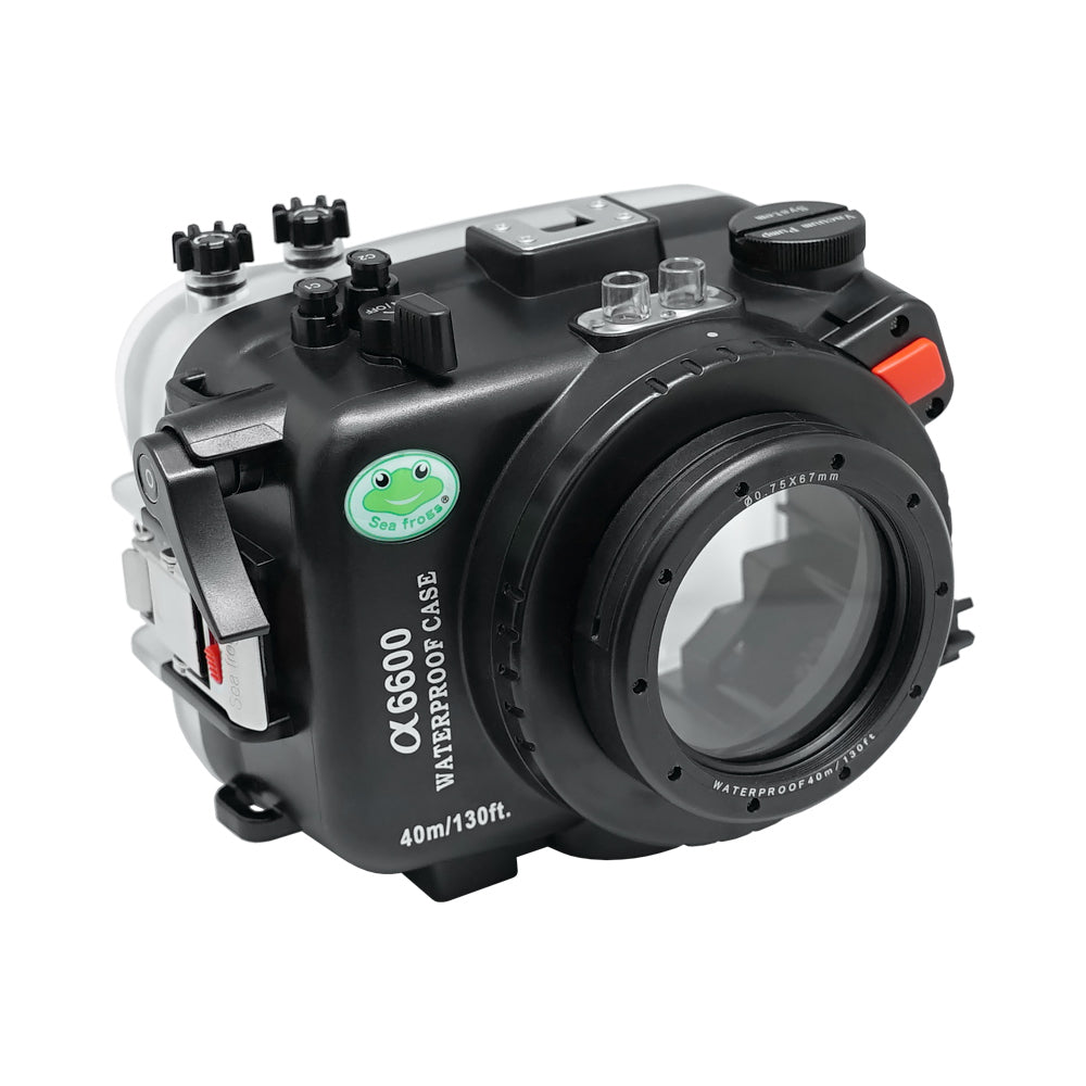 Sony A6600