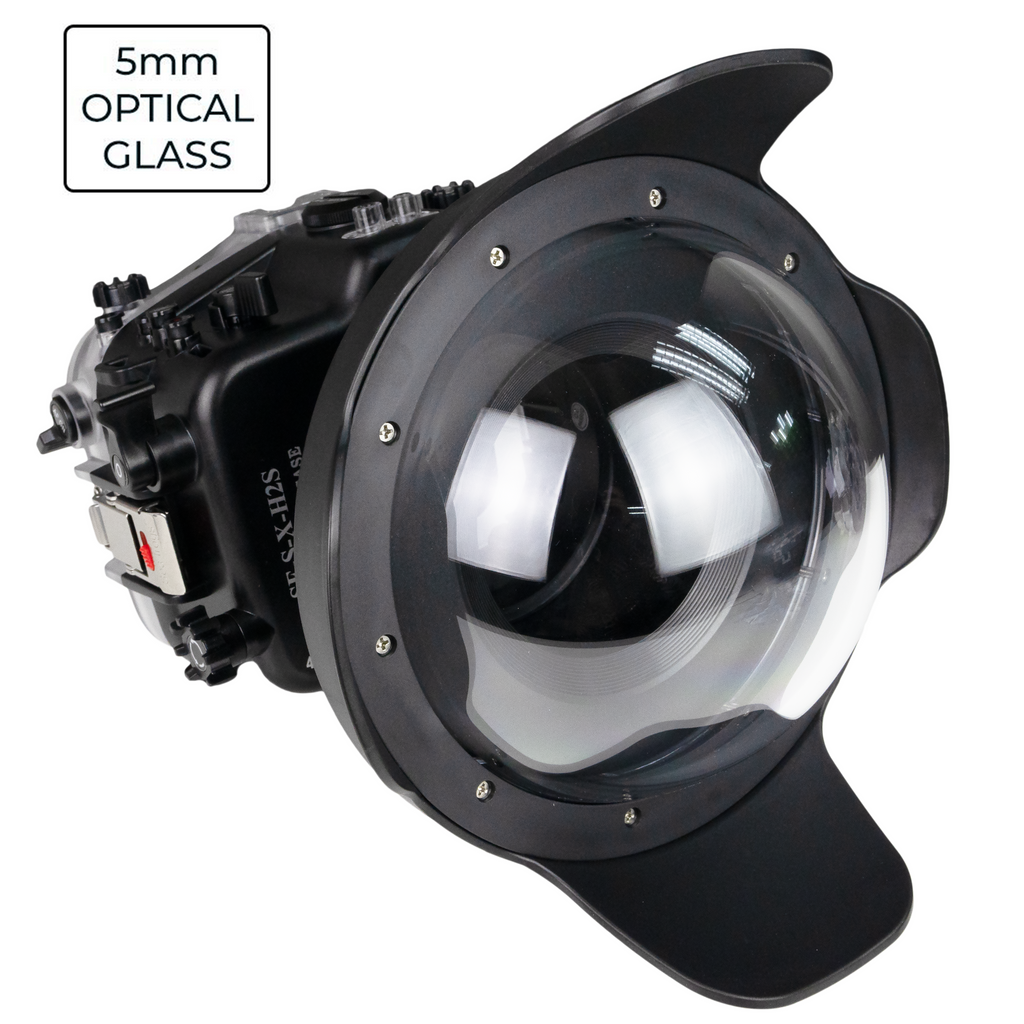 sea frog Fujifilm X-H2 X-H2S sea frogs Underwater housing with 8