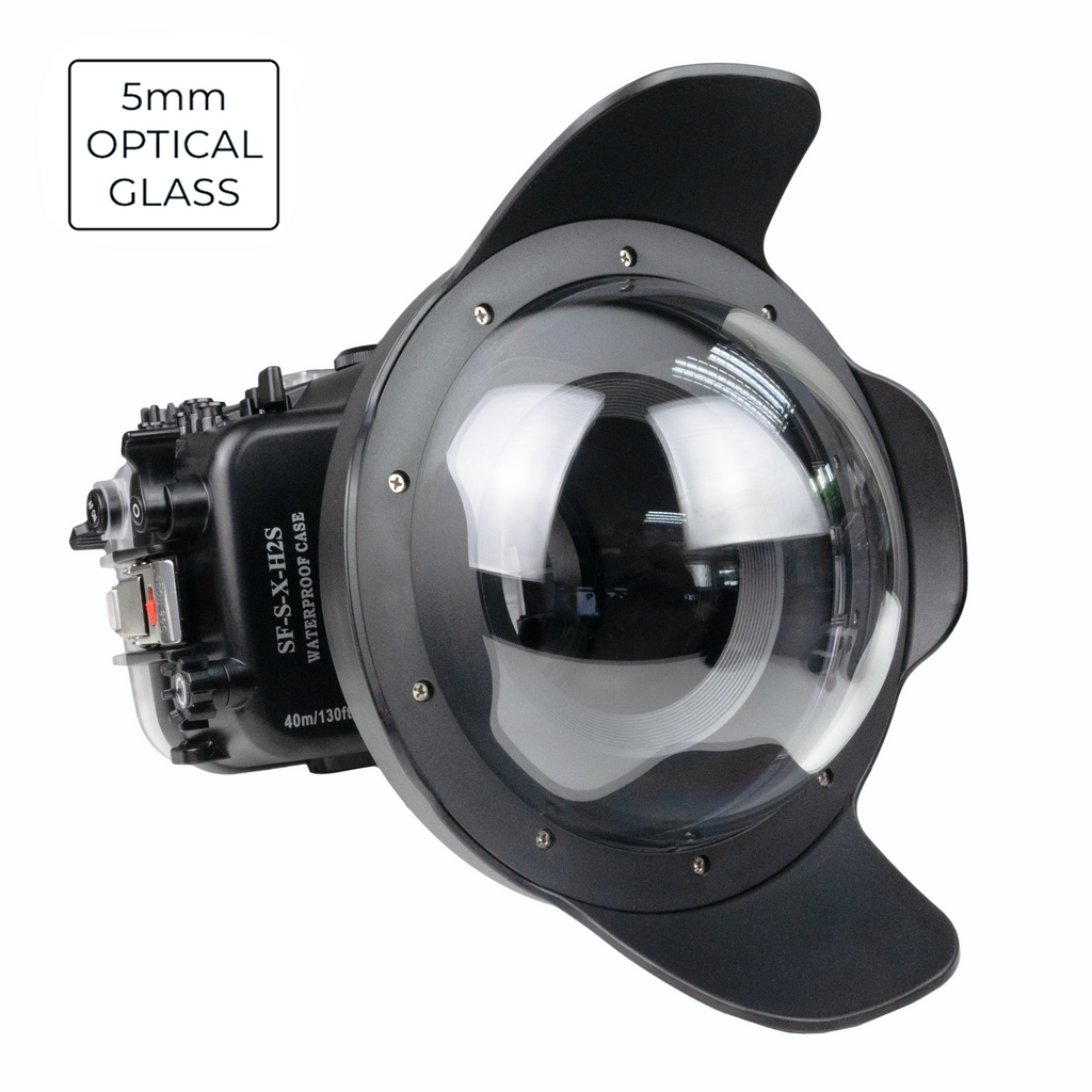 sea frog Fujifilm X-H2 X-H2S sea frogs Underwater housing with 8