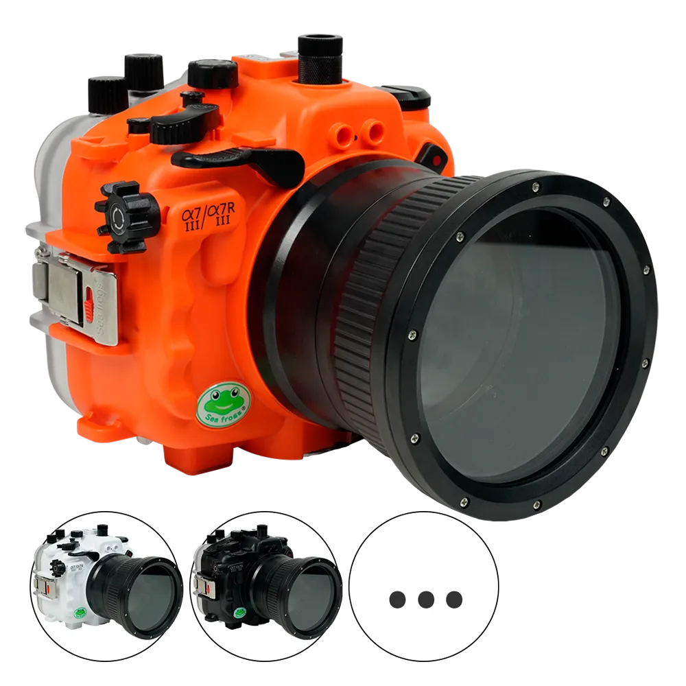 200dl Underwater Ikelite Sony A7iii Ikelite Sony A7iii Housing