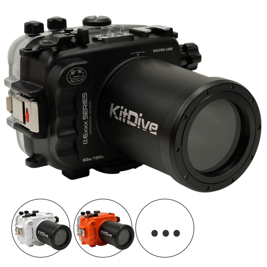 Underwater Camera Housings & Kits | Sea Frogs | Salted Line