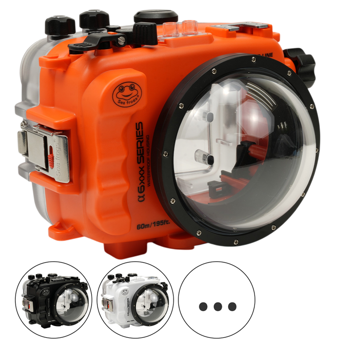 Underwater Camera Housings & Kits | Sea Frogs | Salted Line