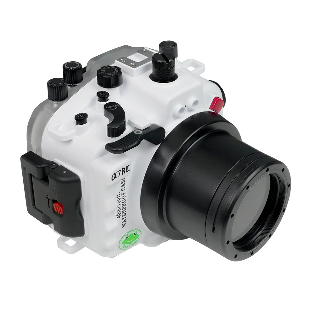 Camera Set White Balance Sony A7iii White Balance Sony A7iii 1+