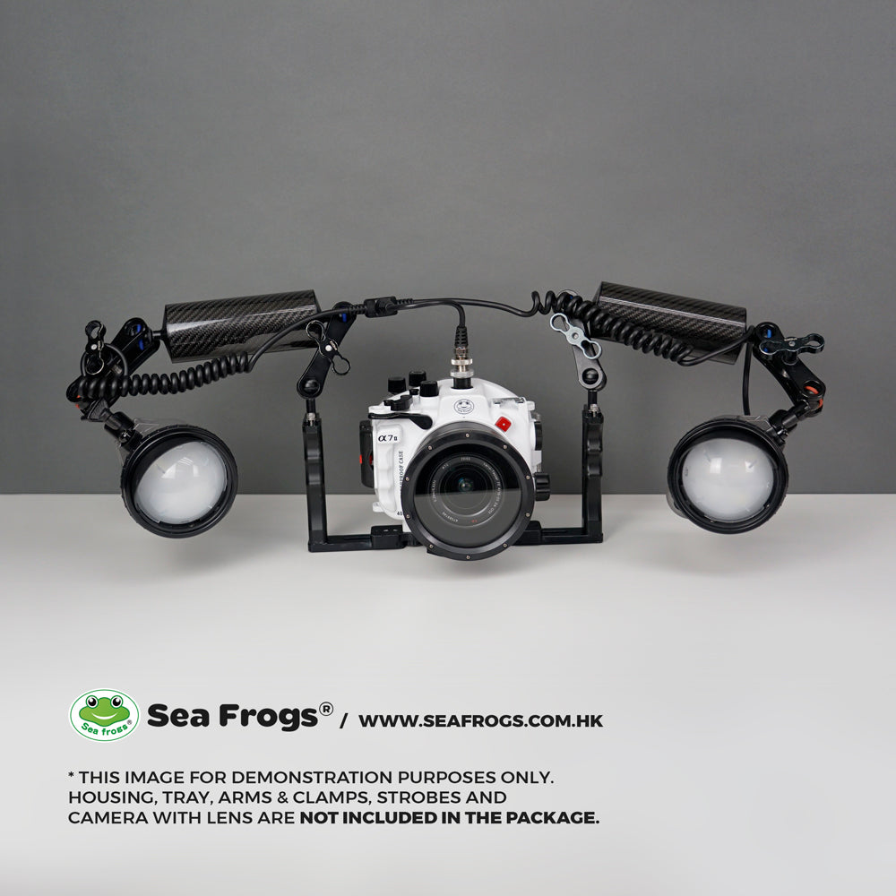 Sea Frogs Foco L03 1000 lumen con puntero Laser